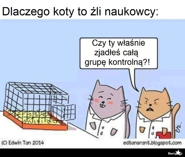 
    Koty naukowcy 