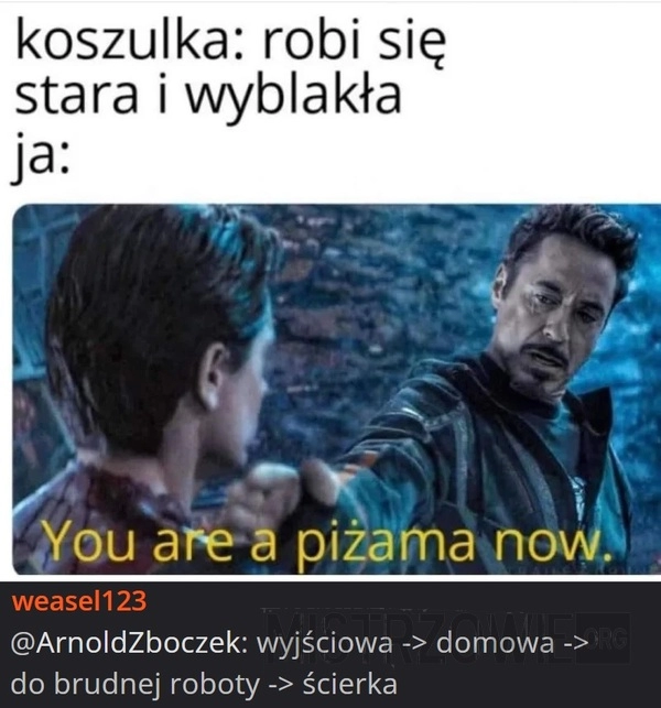 
    Koszulka