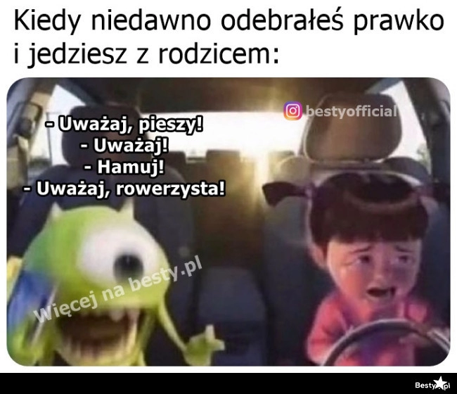 
    Gdzie, gdzie? Nie widzę! 