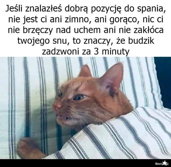 
    To oznacza tylko jedno 