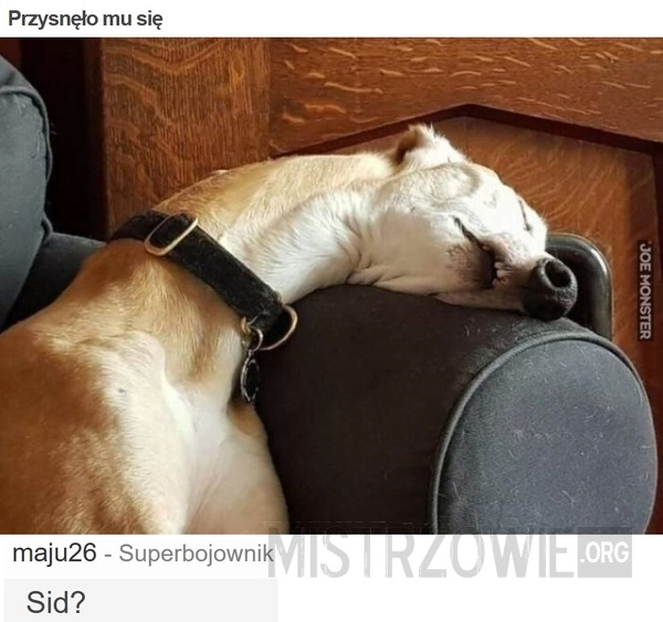 
    Przysnęło mu się