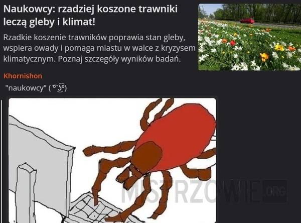 
    Trawniki