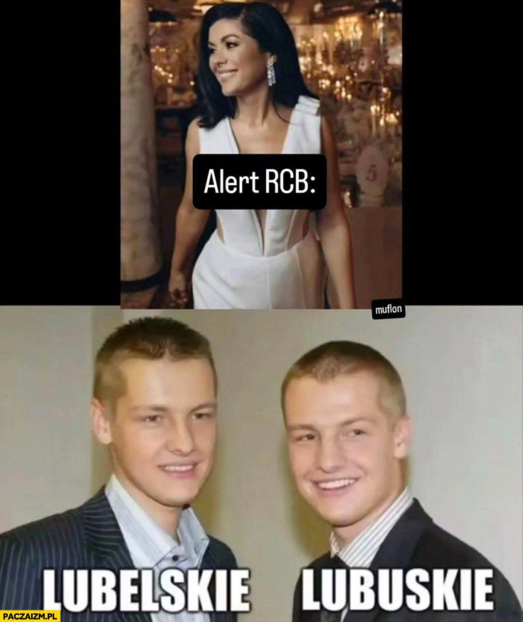 
    Alert RCB Kasia Cichopek lubelskie lubuskie bracia Mroczek