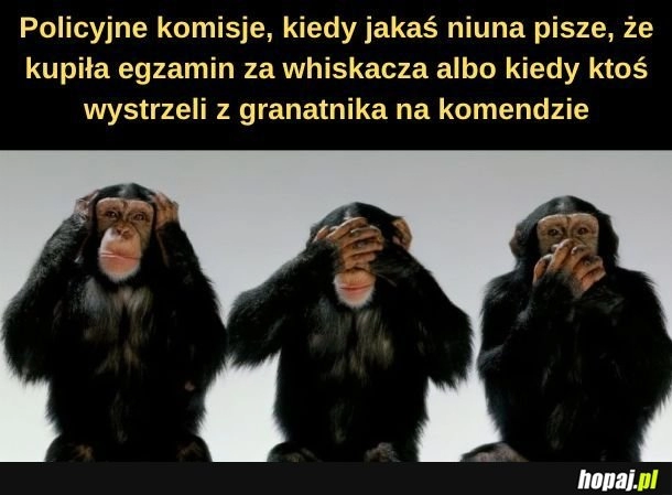 
    Milicyjne komisje. 