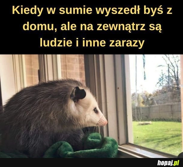 
    Nieśmiałość