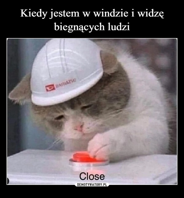 
    Kiedy jestem w windzie i widzę biegnących ludzi