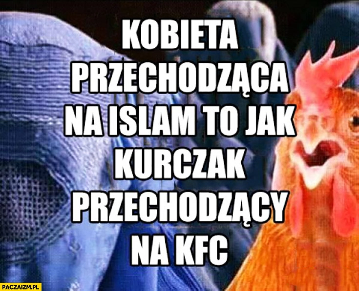 
    Kobieta przechodząca na islam to jak kurczak przechodzący na KFC