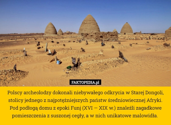 
    Polscy archeolodzy dokonali niebywałego odkrycia w Starej Dongoli, stolicy