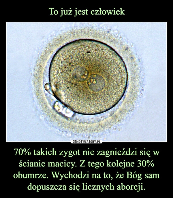 
    To już jest człowiek 70% takich zygot nie zagnieździ się w ścianie macicy. Z tego kolejne 30% obumrze. Wychodzi na to, że Bóg sam dopuszcza się licznych aborcji.