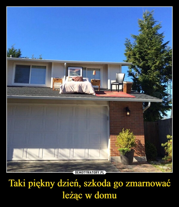 
    Taki piękny dzień, szkoda go zmarnować leżąc w domu