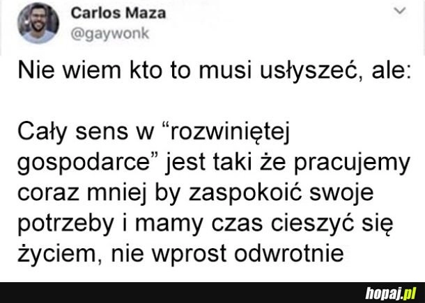 
    Sens rozwiniętej gospodarki