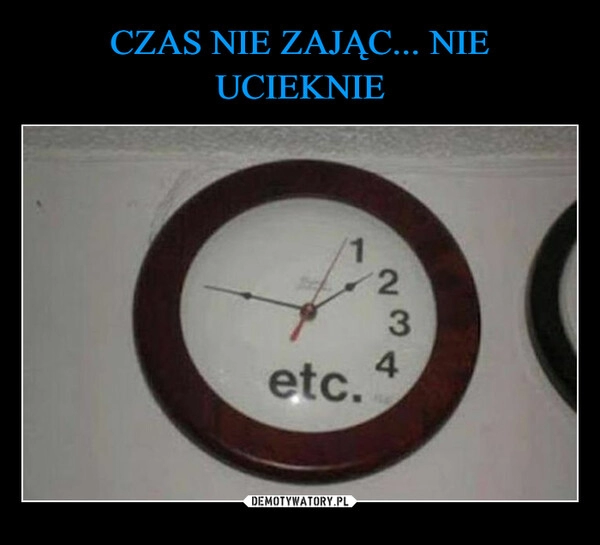 
    CZAS NIE ZAJĄC... NIE UCIEKNIE