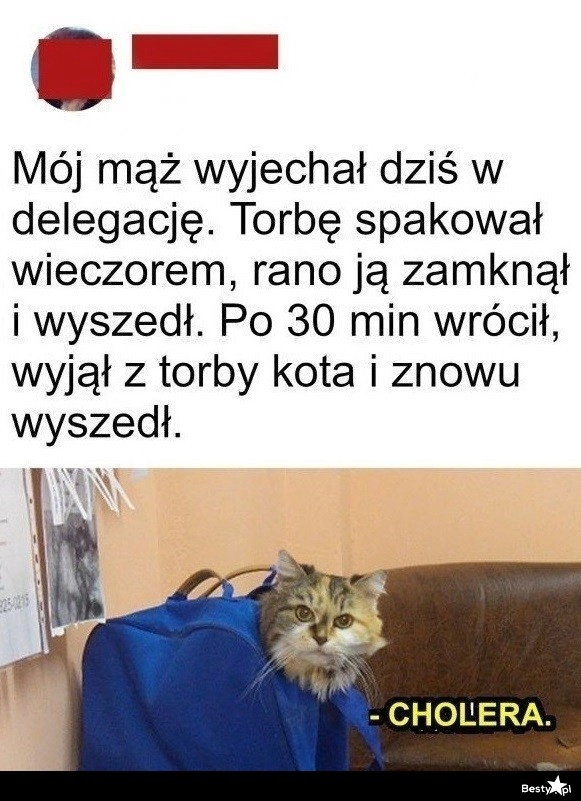 
    Wyjazd w delegację 