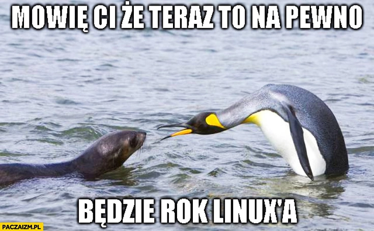 
    Mówię Ci że teraz to na pewno będzie rok Linuxa pingwin do foki