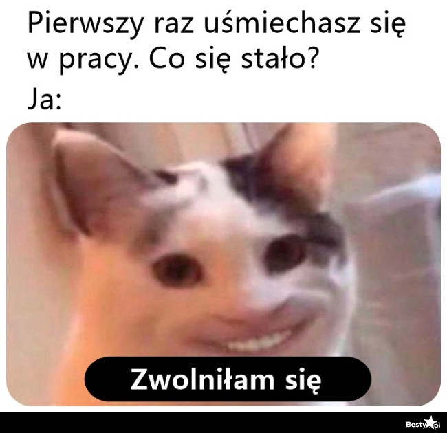 
    To wiele wyjaśnia 