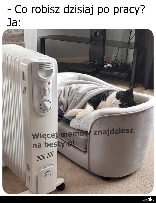 
    Plan jest jeden 