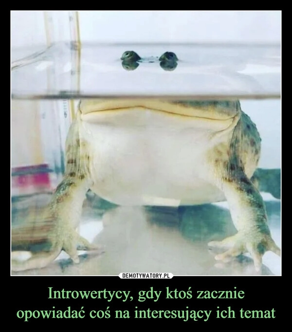 
    Introwertycy, gdy ktoś zacznie opowiadać coś na interesujący ich temat