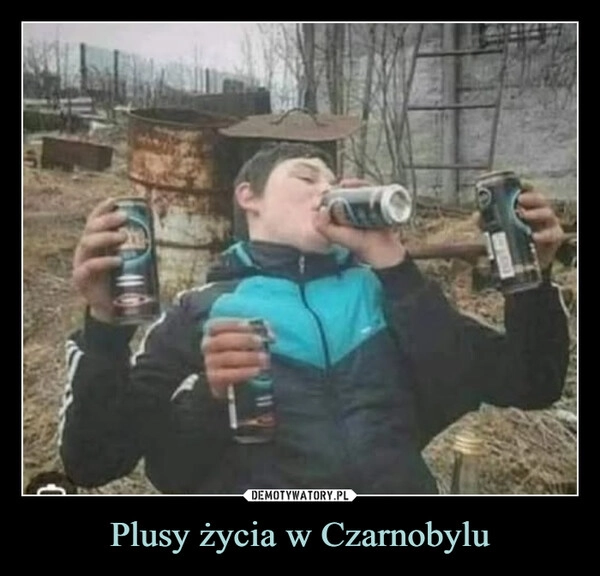 
    Plusy życia w Czarnobylu
