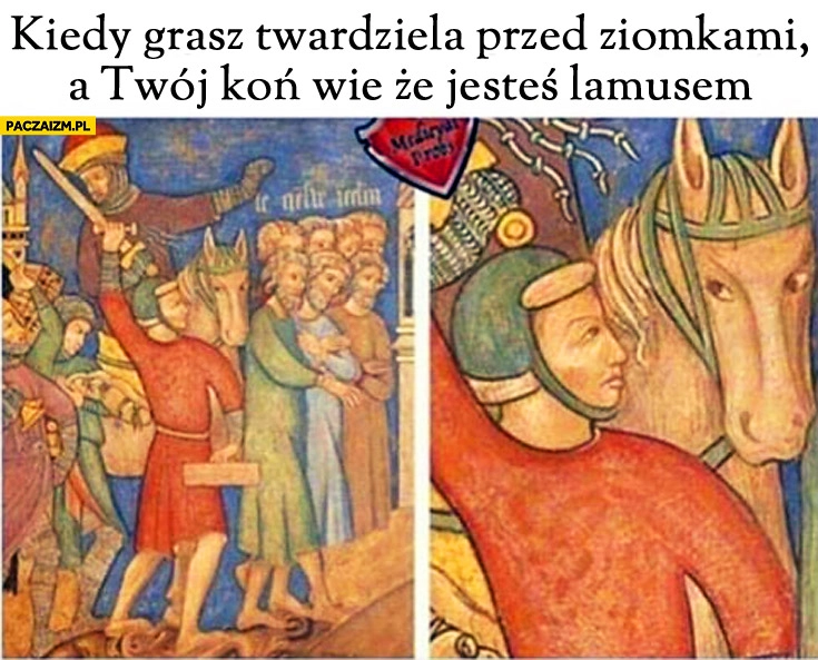 
    Kiedy grasz twardziela przed ziomkami a Twój koń wie że jesteś lamusem