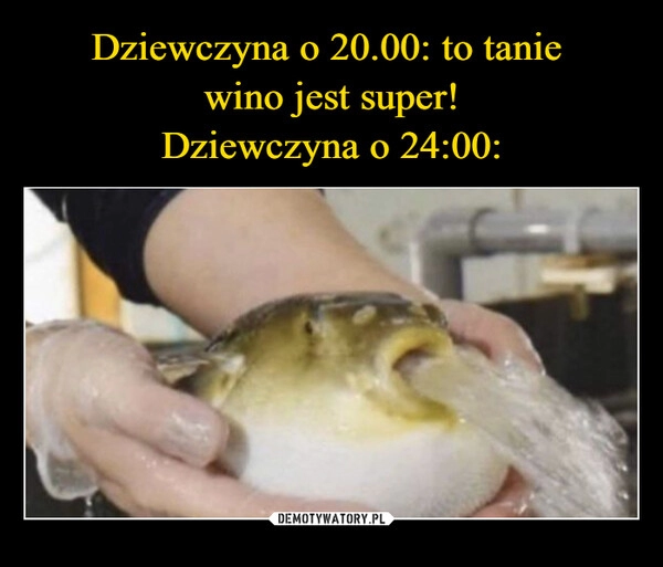 
    Dziewczyna o 20.00: to tanie 
wino jest super!
Dziewczyna o 24:00: