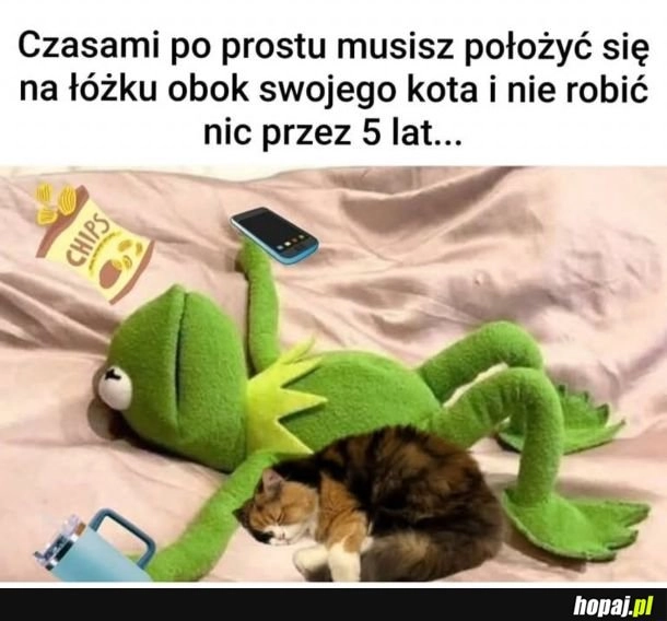
    Czasami tak jest
