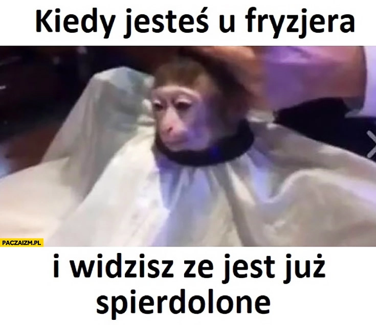 
    Kiedy jesteś u fryzjera i widzisz, że już jest spierdzielone smutna małpka