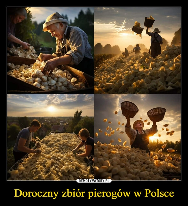 
    Doroczny zbiór pierogów w Polsce