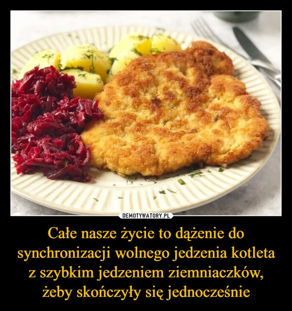 
    Całe nasze życie to dążenie do synchronizacji wolnego jedzenia kotleta z szybkim jedzeniem ziemniaczków, żeby skończyły się jednocześnie