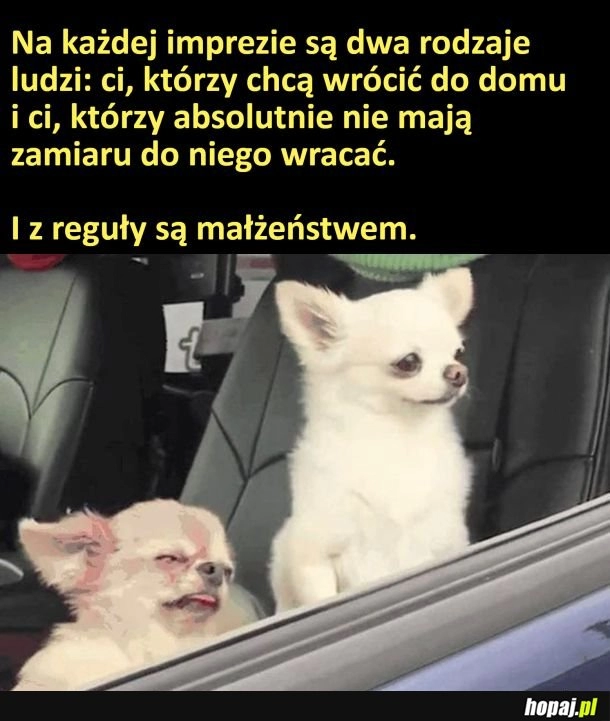 
    Dwa typy ludzi na imprezie