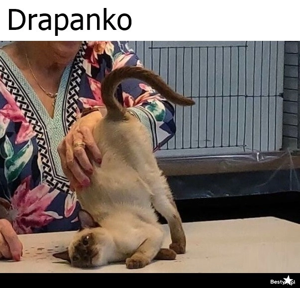 
    Drapanko 