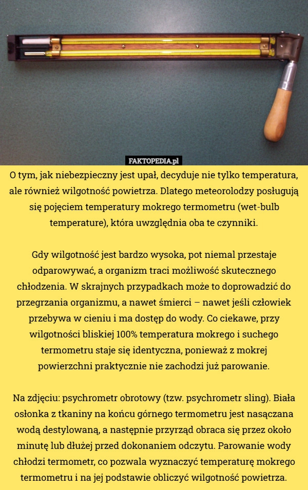 
    O tym, jak niebezpieczny jest upał, decyduje nie tylko temperatura, ale...