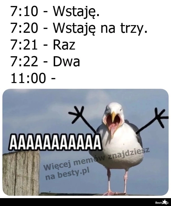 
    Zawsze jest takie ryzyko 