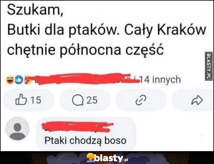 
    Szukam butki dla ptaków, komentarz: ptaki chodzą boso