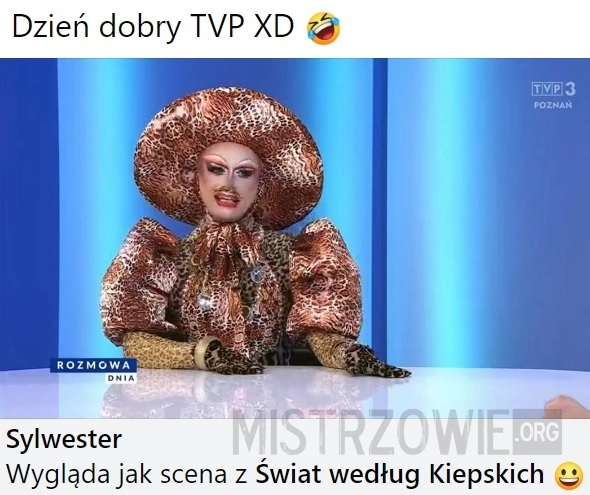 
    Telewizja