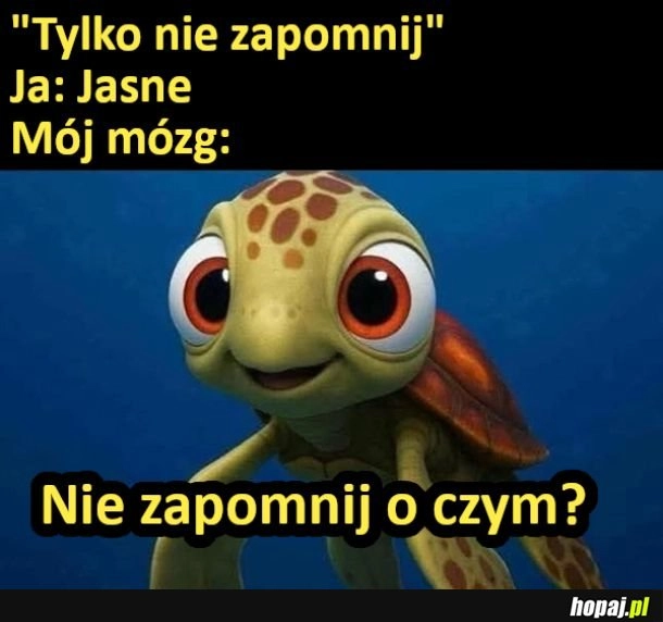 
    Ja i mój mózg :)