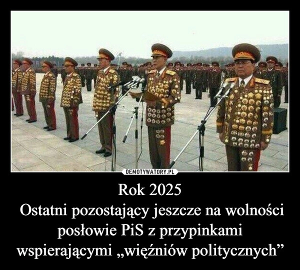 
    Rok 2025
 Ostatni pozostający jeszcze na wolności posłowie PiS z przypinkami wspierającymi „więźniów politycznych”