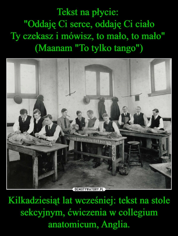 
    Tekst na płycie: 
"Oddaję Ci serce, oddaję Ci ciało
Ty czekasz i mówisz, to mało, to mało" 
(Maanam "To tylko tango") Kilkadziesiąt lat wcześniej: tekst na stole sekcyjnym, ćwiczenia w collegium anatomicum, Anglia.