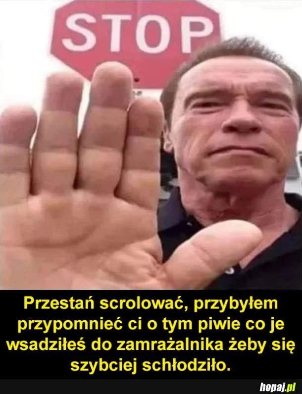 
    Dobry ziomek Arnie