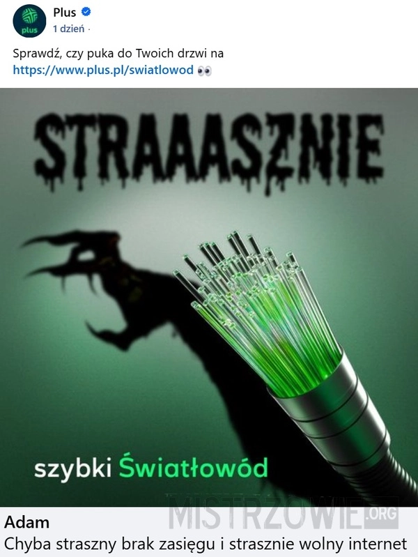 
    Światłowód