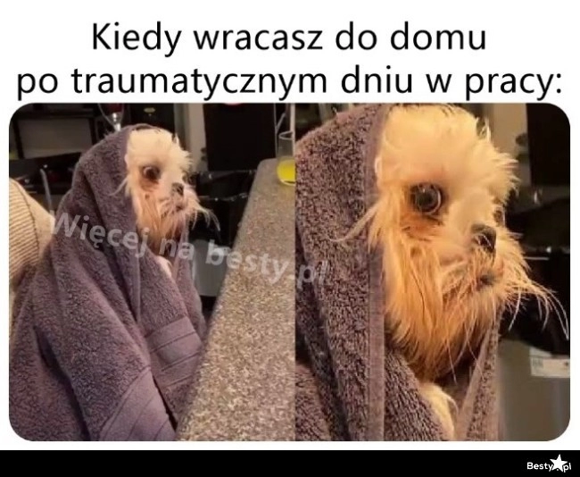 
    Trwa dochodzenie do siebie 