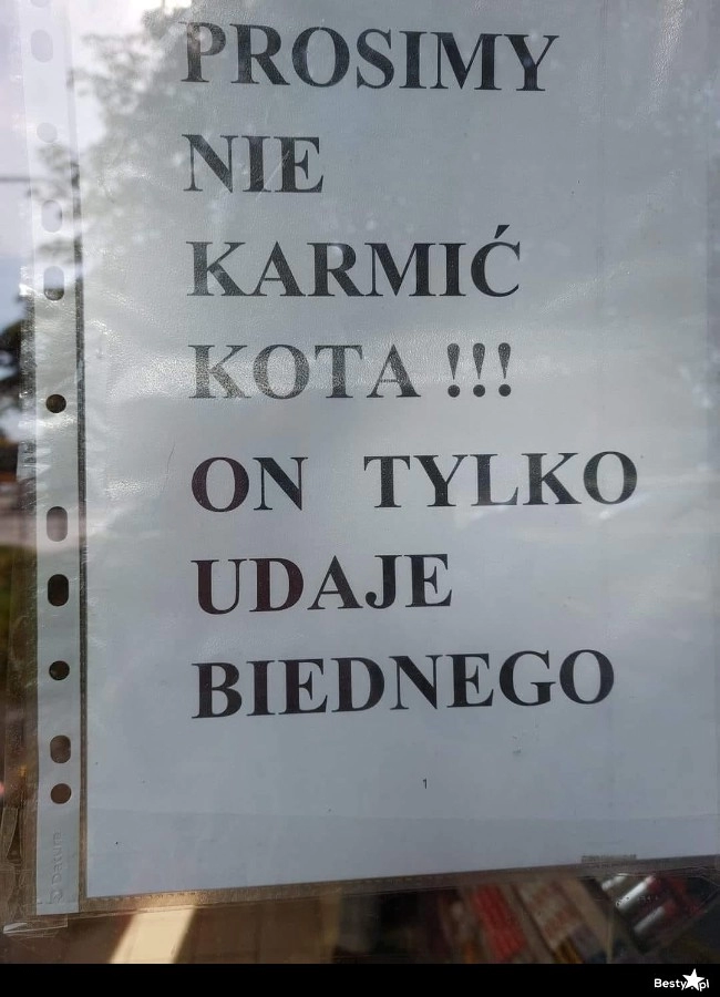 
    On tylko udaje 