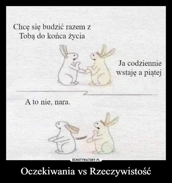 
    Oczekiwania vs Rzeczywistość