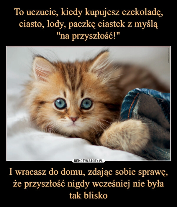 
    To uczucie, kiedy kupujesz czekoladę, ciasto, lody, paczkę ciastek z myślą
''na przyszłość!" I wracasz do domu, zdając sobie sprawę, że przyszłość nigdy wcześniej nie była tak blisko