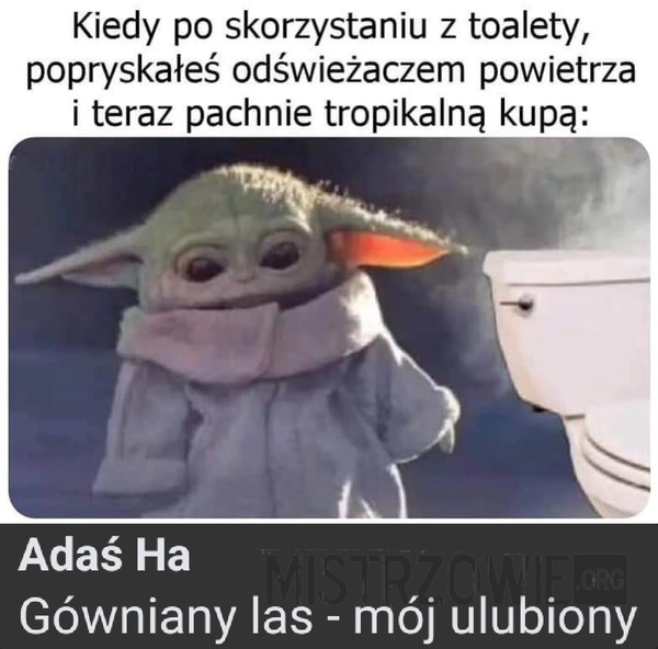 
    Po skorzystaniu z toalety