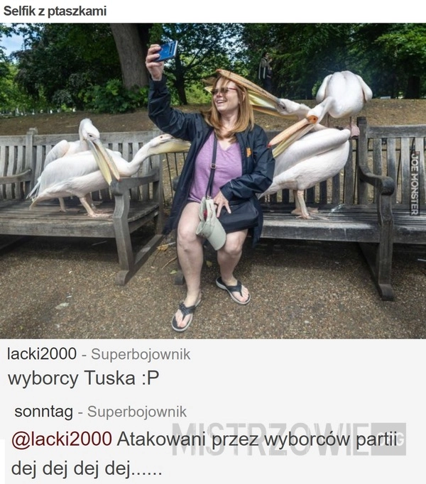 
    Selfik z ptaszkami