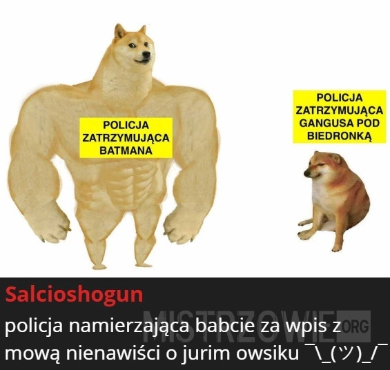 
    Policja