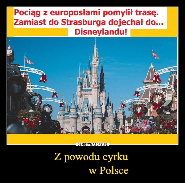 
    Z powodu cyrku 
           w Polsce