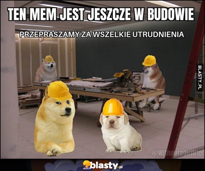 
    Ten mem jest jeszcze w budowie, przepraszamy za utrudnienia pies psy pieseł doge