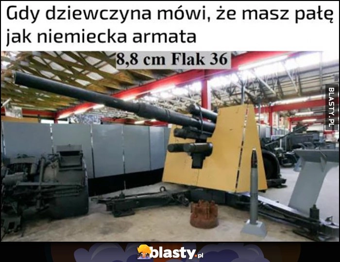 
    Gdy dziewczyna mówi, że masz pałę jak niemiecka armata: 8,8 cm flak