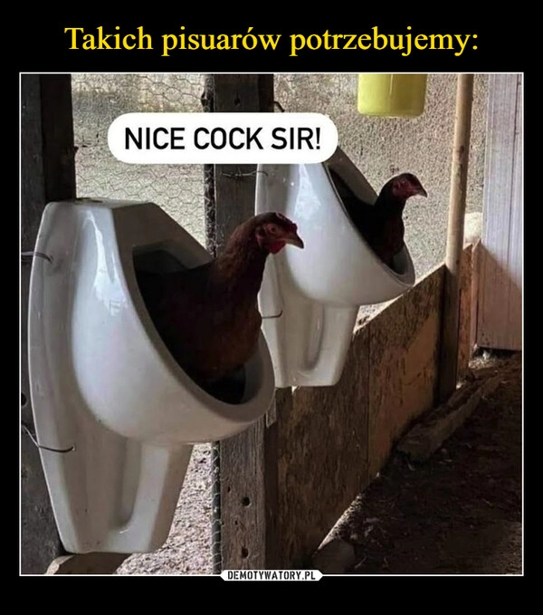 
    Takich pisuarów potrzebujemy: